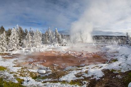 Picture of WINTER AT FOUNTAIN PAINT POT, YELLOWSTONE NATIONAL PARK