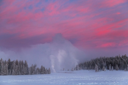 Picture of WINTER DAWN, UPPER GEYSER BASIN, YELLOWSTONE NATIONAL PARK
