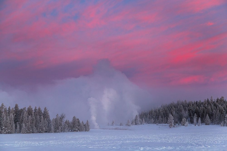 Picture of WINTER DAWN, UPPER GEYSER BASIN, YELLOWSTONE NATIONAL PARK