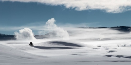 Picture of WINTER IN HAYDEN VALLEY, YELLOWSTONE NATIONAL PARK