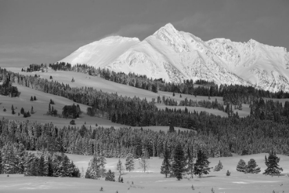 Picture of WINTER MORNING, ELECTRIC PEAK, YELLOWSTONE NATIONAL PARK