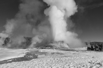 Picture of WINTER SOLSTICE CASTLE GEYSER ERUPTION, YELLOWSTONE NATIONAL PARK