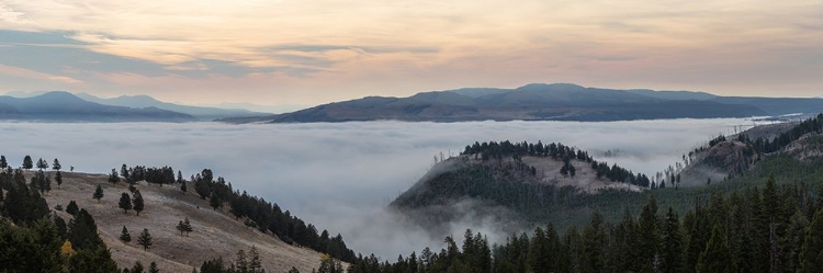 Picture of YELLOWSTONE RIVER VALLEY, YELLOWSTONE NATIONAL PARK