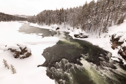 Picture of YELLOWSTONE RIVER FROM THE CANYON BRIDGE, YELLOWSTONE NATIONAL PARK