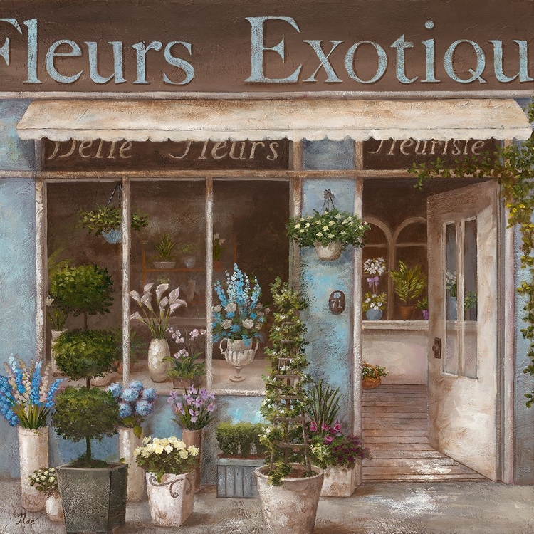 Picture of FLEURS EXOTIQUE