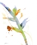 Picture of BUDDING