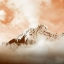 Picture of BURNT SKIES