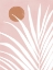 Picture of CANOPY IIII