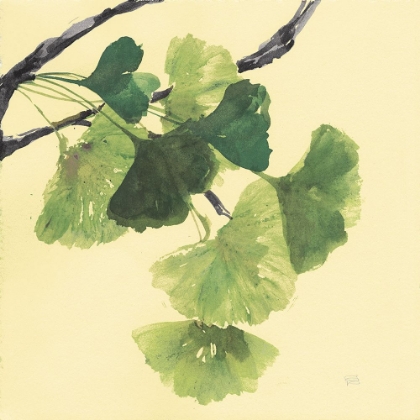 Picture of GINGKO LEAVES I DARK