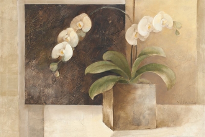 Picture of CONTEMPORARY ORCHID
