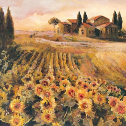 Picture of SUNFLOWERS IN ITALY