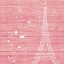 Picture of PINK PARIS