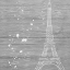 Picture of GREY PARIS