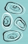 Picture of WATER CIRCLES CYAN