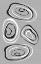 Picture of WATER CIRCLES GREY