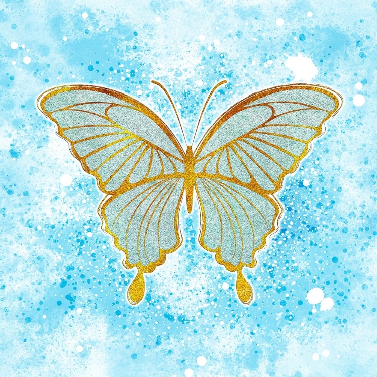 Picture of BUTTERFLY BLUE