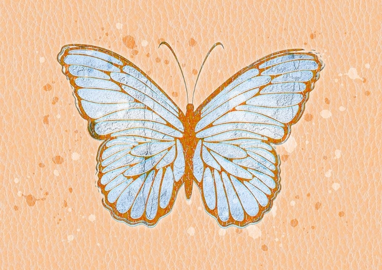 Picture of BUTTERLFY ORANGE