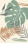 Picture of JUNGLE