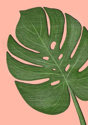 Picture of EXOTIC LEAF ONE