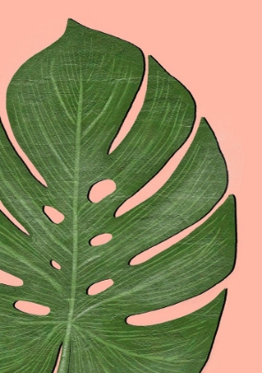 Picture of EXOTIC LEAF TWO