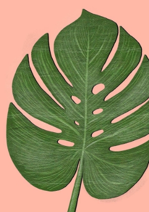 Picture of EXOTIC LEAF THREE