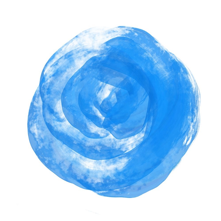 Picture of BLUE ROSE