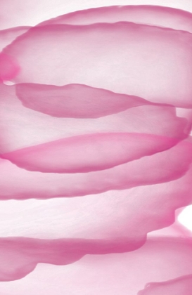 Picture of PINK PAPER