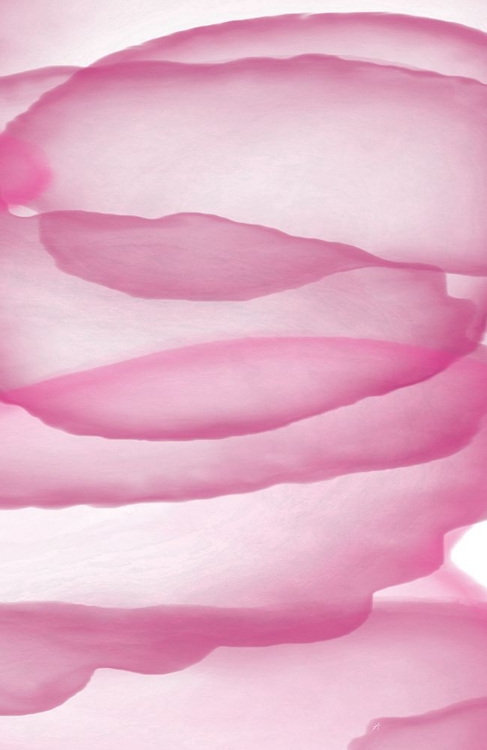 Picture of PINK PAPER