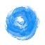 Picture of BLUE ROSE BLOOM