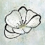 Picture of DUSTY FLOWER2