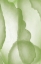 Picture of GREEN PAPER TWO