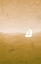 Picture of SEA STORM NATURAL