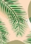 Picture of PALM LEAF