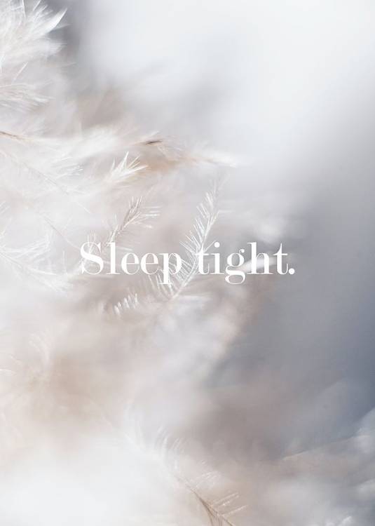 Picture of SLEEP TIGHT FEATHERS