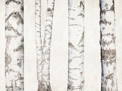 Picture of BIRCHES