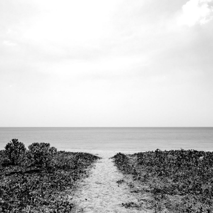 Picture of BEACH BLACK AND WHITE