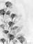 Picture of ASTOR PLACE FLORAL 1