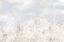 Picture of SOFT FIELD