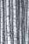 Picture of BIRCHES 1
