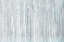 Picture of BIRCHES