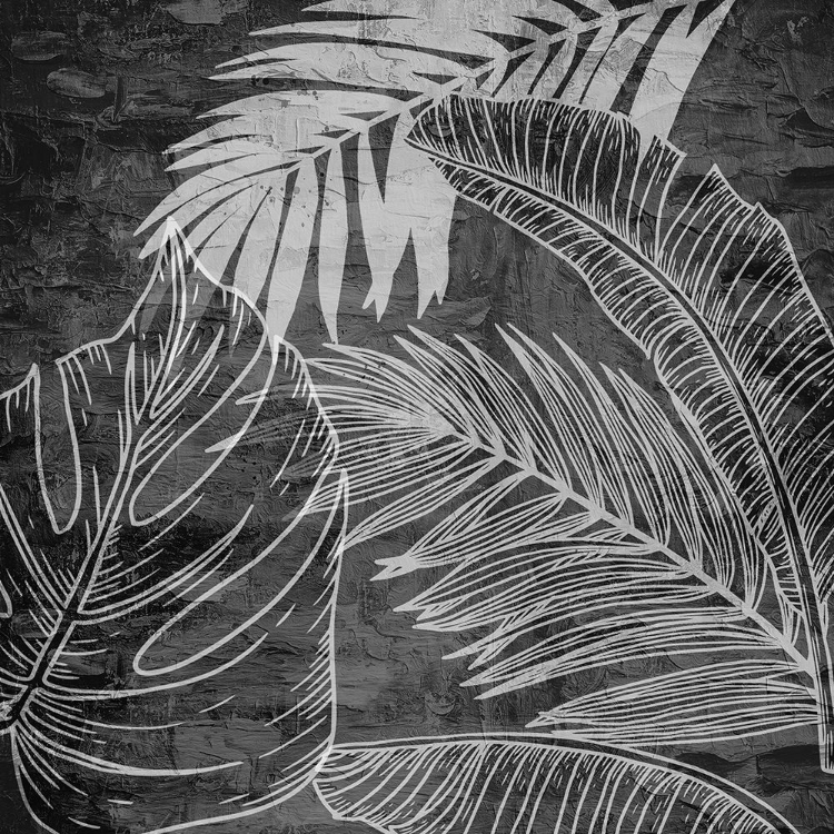 Picture of BLACK AND WHITE PALM 1