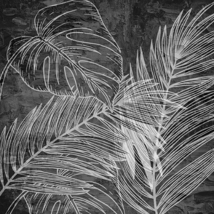 Picture of BLACK AND WHITE PALM 2