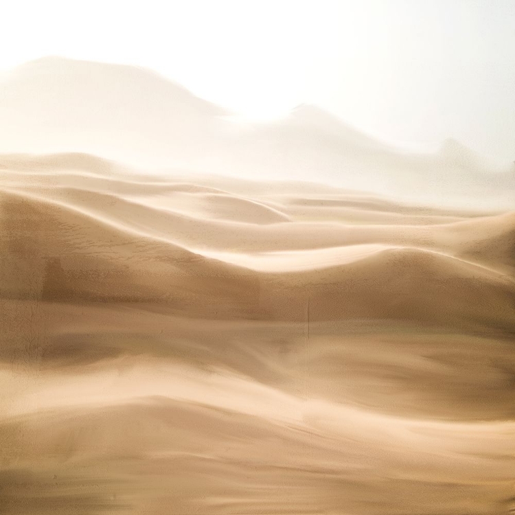 Picture of DESERT