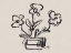 Picture of SKETCHED PEONIES IN VASE