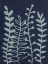 Picture of GROWING TOGETHER 2