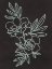 Picture of FLORAL ENGAGEMENTS 1