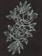 Picture of FLORAL ENGAGEMENTS 2
