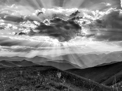 Picture of SKYS THE LIMIT