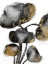 Picture of GOLD TAINTED BURST 1