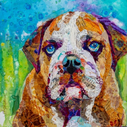 Picture of BULL DOG